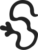 alphabet